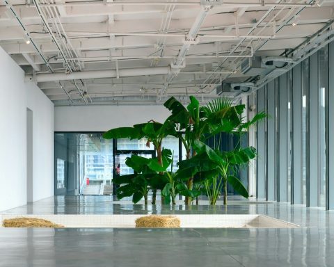 a large plant in a large room with lots of windows