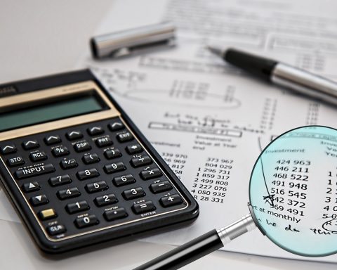 Vrouwelijke ondernemer die financiële documenten controleert aan haar bureau