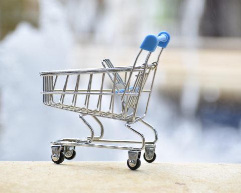 Ondernemer met een winkelwagen in een groothandelsmagazijn